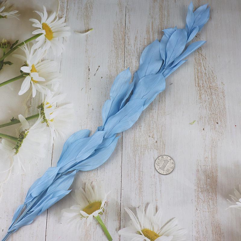 DIY Floral Art Ornament: Preserved Tangerine & Fishtail Leaf, Lily, Bamboo Dried Flowers – Ikebana Photo Prop for Home Décor.