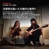 Roland CUBE Street Portable Mini Amp for and Vocal for Easy Live PA MINI/CUBE-ST-MI Amplifier, Guitar, Keyboard, Microphones,