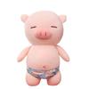 Soft And Squishy Plush Pig Toy Perfect Beach Companion For Girls Funny Gift Idea