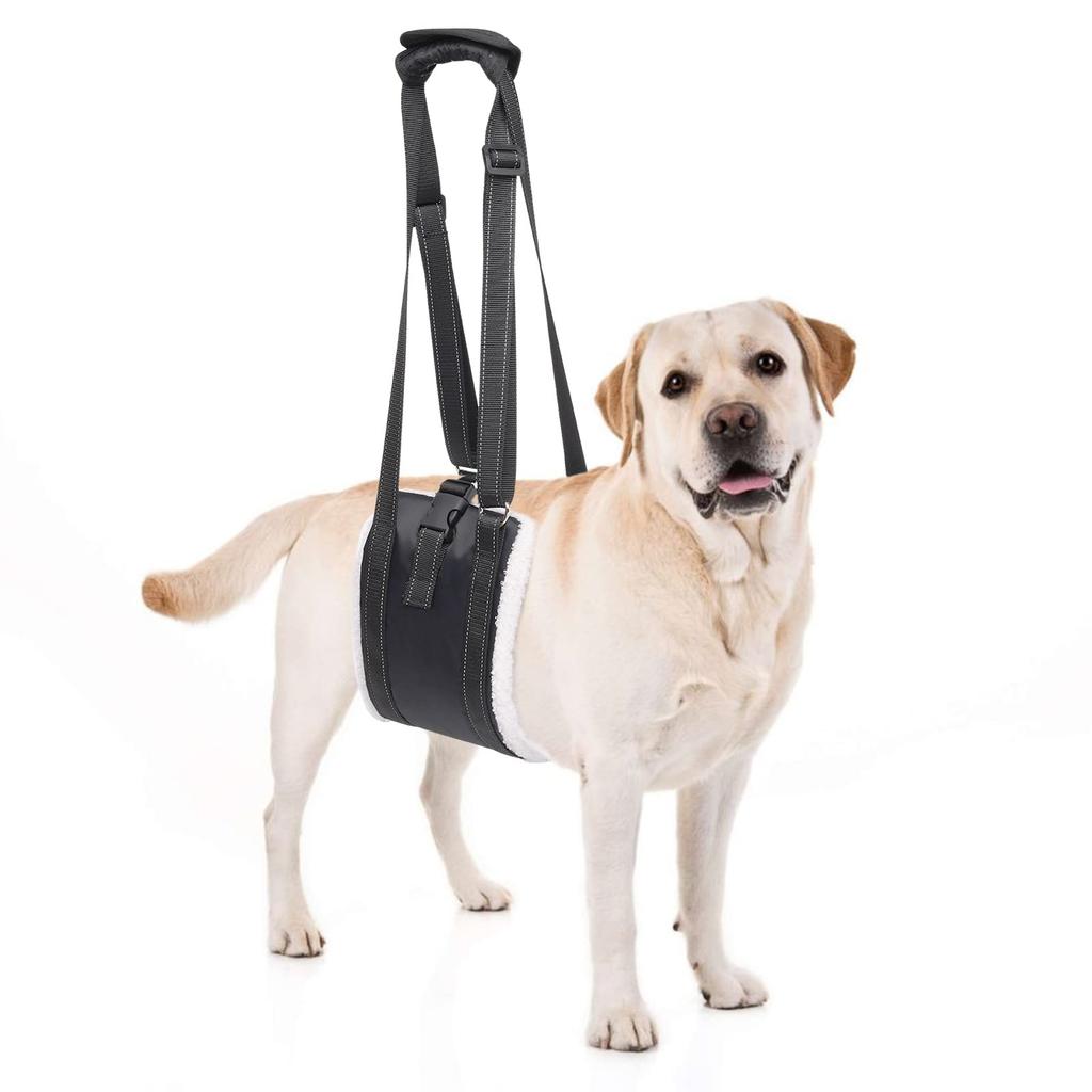 Loobani Dog Walking Assistance Body for Senior and Hand Easy to Put on and Take Convenient for Includes Storage Bag Adjustment Buckle for Medium