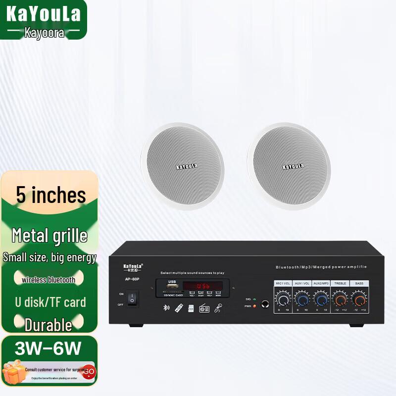 Потолочная акустическая система KaYouLa 5 дюймов (1-к-2) (Китайская версия)
