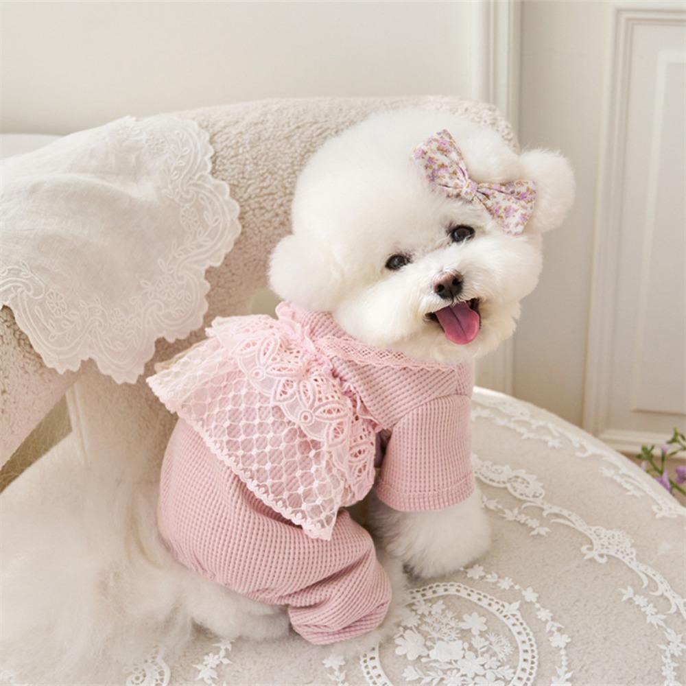 Lace Camisole Pet Spring Summer Jumpsuit Soft Pet Four Legged Coat Pet Supplies Dog Pajamas  Autumn