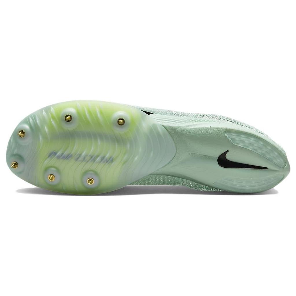 Nike Кроссовки унисекс Air Zoom Victory Mint Foam Volt Green Cave-Purple DR9908-300