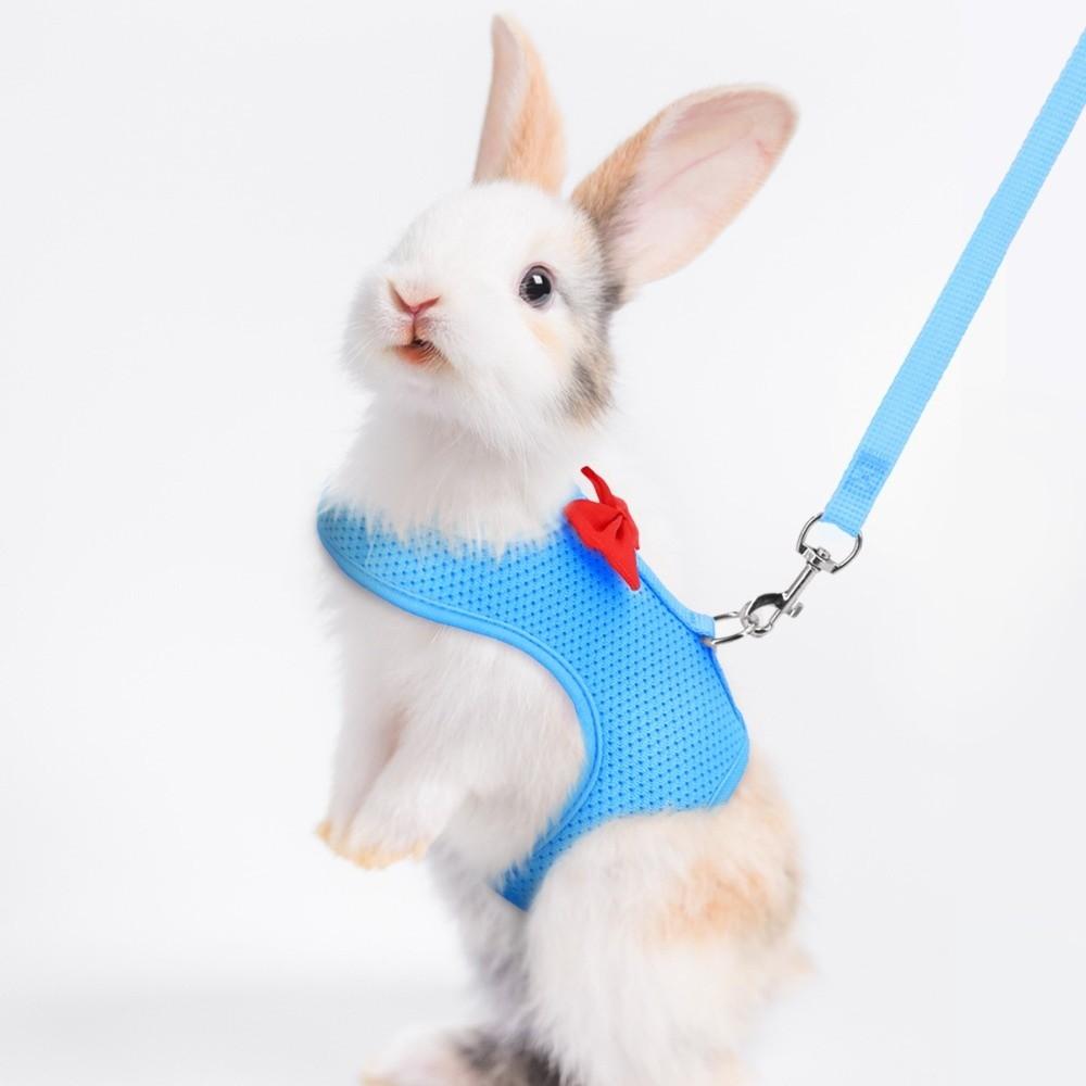 Polyester Rabbit Harness Vest Breathable Pet Walking Leash New Bunny Harness Leash Small Pets Use