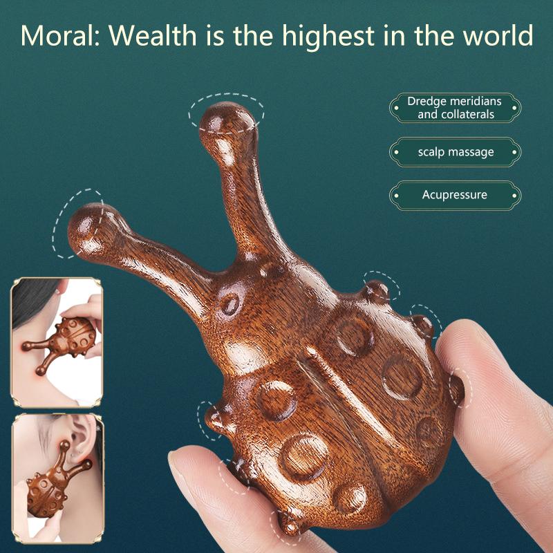 Массажная расческа из сандалового дерева в форме жука с картой акупунктурных точек, утолщенная расческа-меридиан тела, массажная расческа для акупунктурных точек носа и глаз