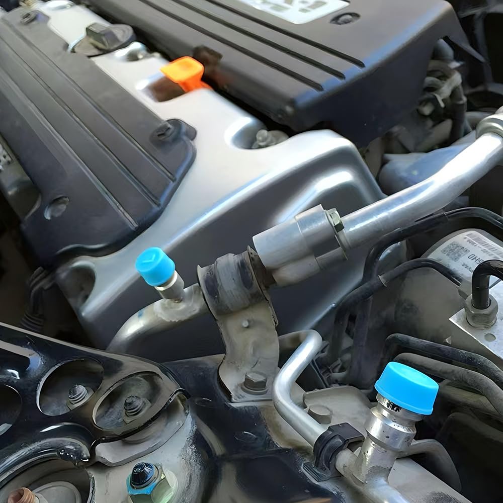 Колпачки клапанов кондиционера 30 шт. Колпачок клапана автомобиля Колпачок клапана кондиционера Средство от насекомых