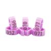 Pigeon Clip Digital Ring 8mm Plastic Eco-friendly 100pcs Box Set Serial Number 001-100 Purple Racing Pigeon Leg Bird Supplies