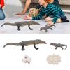 4 Pcs Lizard Life Cycle Toy PVC Realistic Educational Reptile Animal Growth Cycle Toy