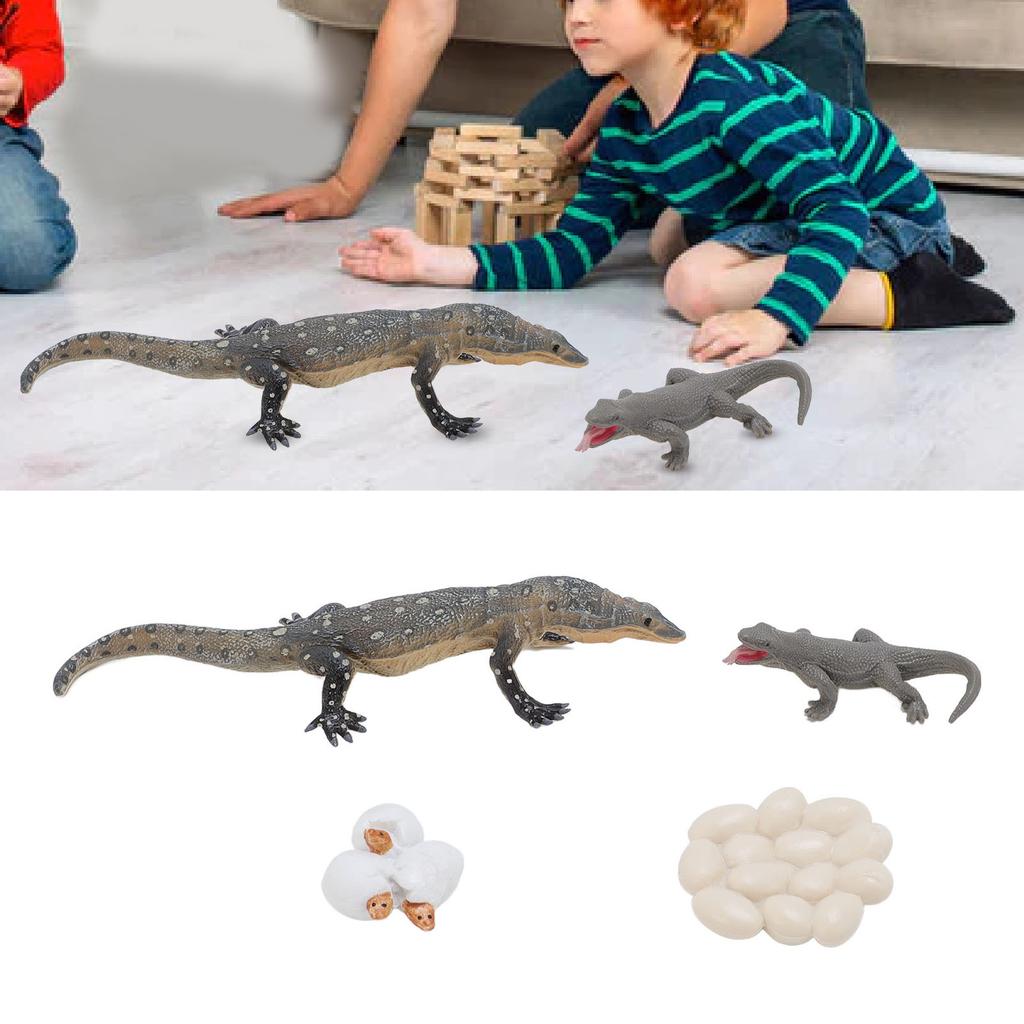 4 Pcs Lizard Life Cycle Toy PVC Realistic Educational Reptile Animal Growth Cycle Toy