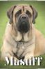 Книга Mastiff : Dog Breed Overview and Guide