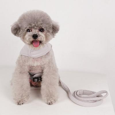 Dog Boutique Шлейка для собак, комплект одежды, комплект свинцового поводка, нагрудный поводок, товары для прогулок, серый