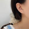 Серьги с цирконием Symphony Love для женщин Niche Ear Bone Nails Гипоаллергенные серьги, не требующие снятия