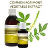 Agrimony Extract Tincture Herbal Liquid Supplement Dietary New Life