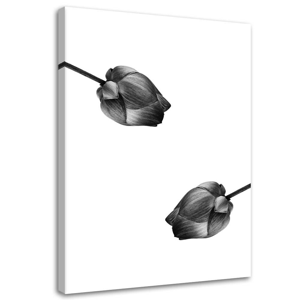 Canvas print, Two grey flowers