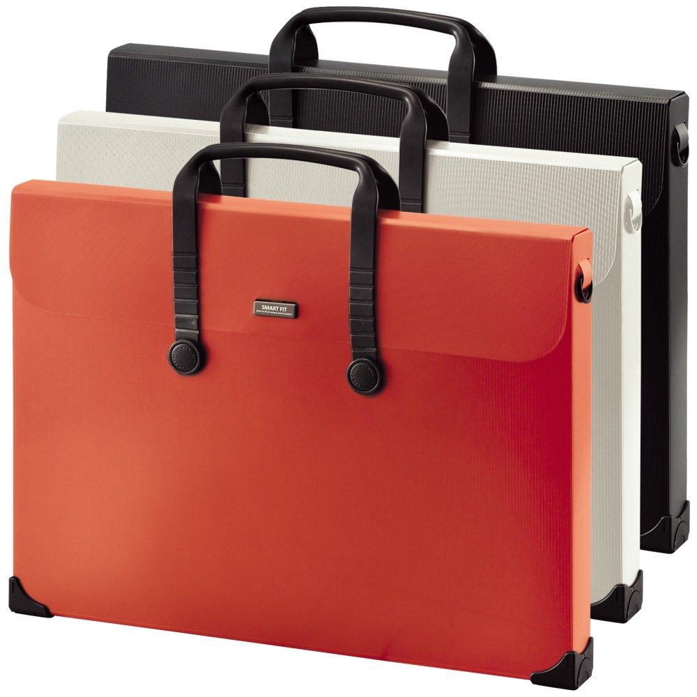 Lihit Lab Carrying Bag A3 Black A7631-24