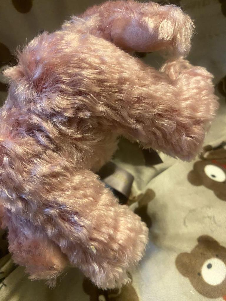 [USED] Discontinued Meissen X Steiff Rose Teddy Bear, Japan Exclusive, White Tag