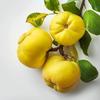 15 семян айвы