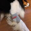 Anti-dirty Pet Knee Pads Soft Dog Leg Warmer Puppy Leg Protector Dog Elbow Cover  Front Rear Legs