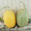 Пластиковая Искусственная Дыня Канталупа Модель Еды Симуляция Фруктов Искусственная Дыня Канталупа Домашний Декор