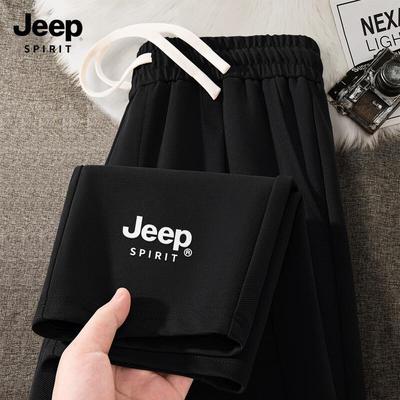 Мужские повседневные спортивные брюки Jeep Spirit 2025, свободные, прямые