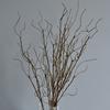 Железная проволока Искусственная ветка дерева Сухая имитация сухостойного растения Дисплей