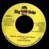 7-дюймовая пластинка VYBZ KARTEL - What A Bwoy Can Chat NONE Big Ship 2008 Ямайка Регги, Ска и Даб Б/у