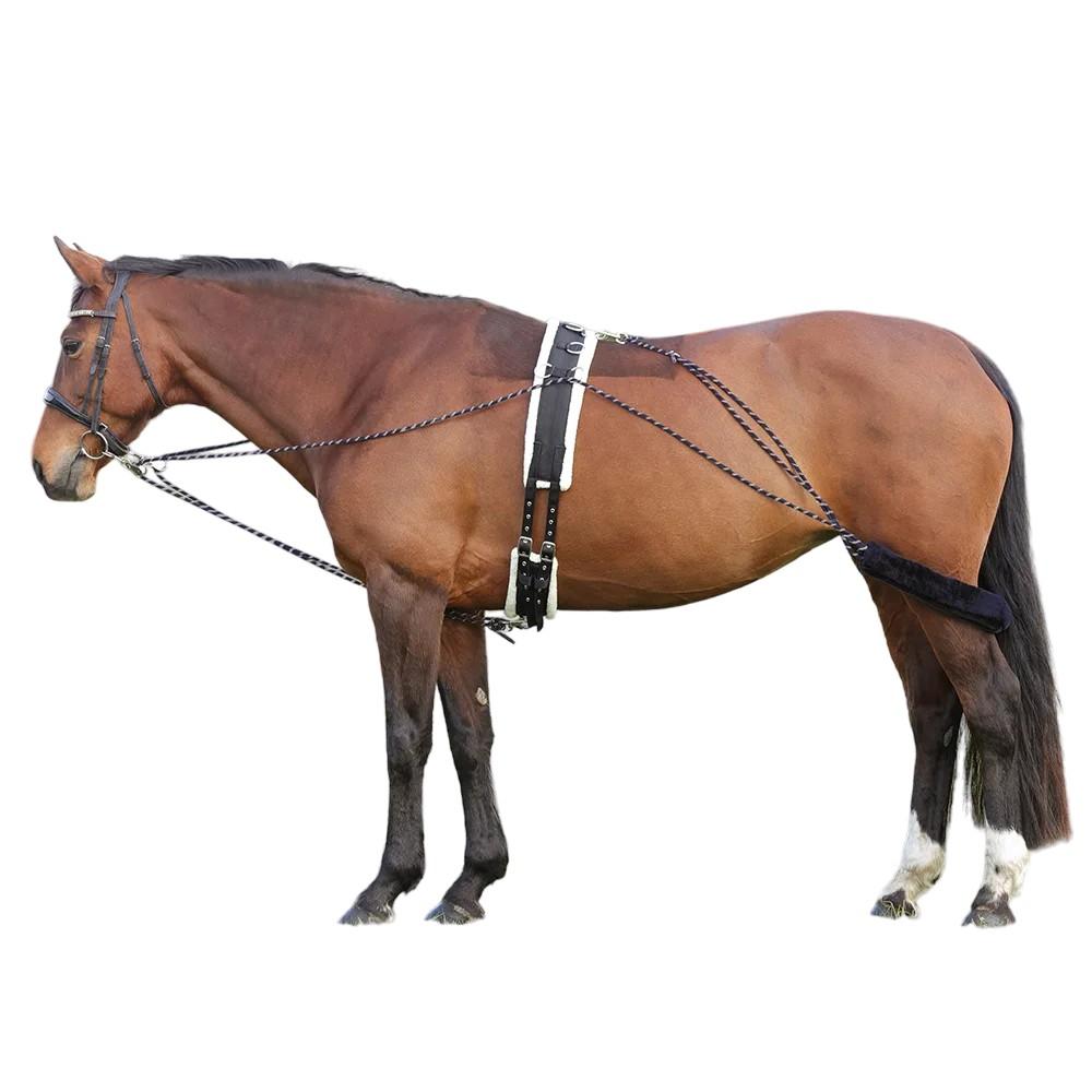 Hy Horse Lunging System
