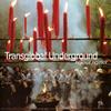 CD TRANSGLOBAL UNDERGROUND - Rejoice Rejoice BNCY63 Bad News Record 1998 Япония Танцевальная и Электронная Музыка Б/У