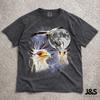 Three Secretary Birds Retro Graphic Tshirt, Vintage Bird Moon Shirt, Funny Secretary Bird Tee, Oversized Washed Animal Top, Cool Bird Gift