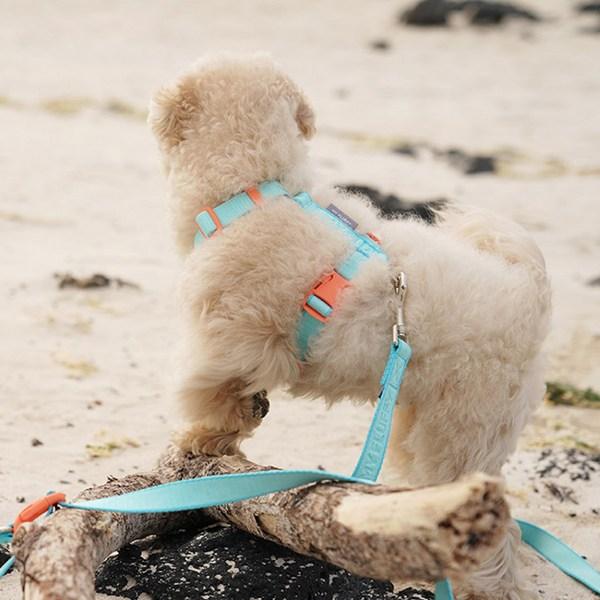 Шлейка My Fluffy Dog с амортизатором типа H, цвет морской волны