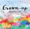 The Grown-up : Wordless Picture Book Book