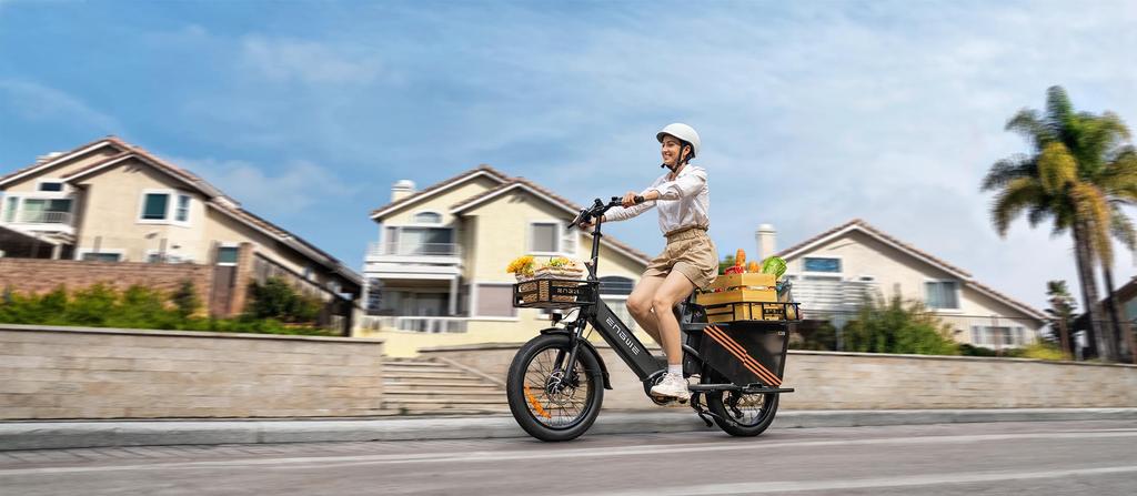 ENGWE LE20 Dual Battery Electric Bike – 350KM Max Range, 100Nm Mid-Drive Motor, Hydraulic Brakes & 200kg Payload