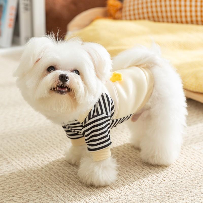 Тонкие толстовки с капюшоном для собак на осень-зиму, милая одежда для собак 2025 года, наряд для девочек, пальто для собак с D-образным кольцом, толстовка для щенков, куртка для чихуахуа