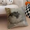 Hilarious Funny Hamster Meme cute Art Cushion Cover Throw Pillow Cover Hidden Button Durable Polyester Chair Cushion