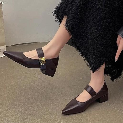 French Gentle Mary Jane Shoes Children 2025 Spring and Autumn New Pointed Head with Skirt Brown Low Heel Single Shoes Trendy Girl
