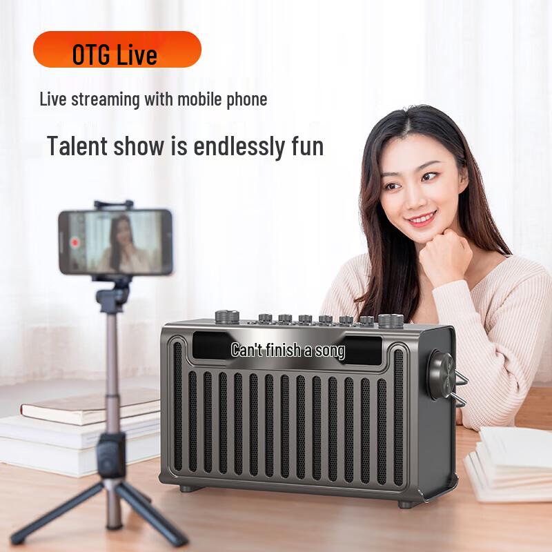 Sansui E96 Portable Karaoke Bluetooth Speaker CN plug (adapter included)