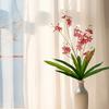 7 Веток Милан Цветок Весенняя Мелодия Орхидеи С Зелеными Листьями Искусственная Орхидея Фаленопсис Зеленые Растения Домашнее Украшение Свадьба