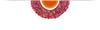 Dried Rose Petals 50g Edible Flowers Rose Petal