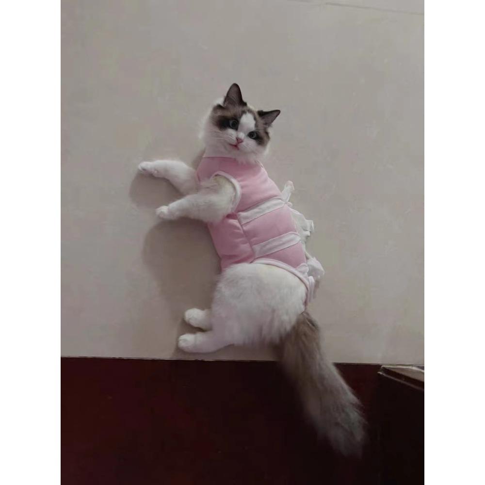 Кошка собака стерилизационный костюм кошка самка кот самец хирургический костюм отлучение от груди против выпадения шерсти послеоперационный против вылизывания тонкая одежда для питомцев