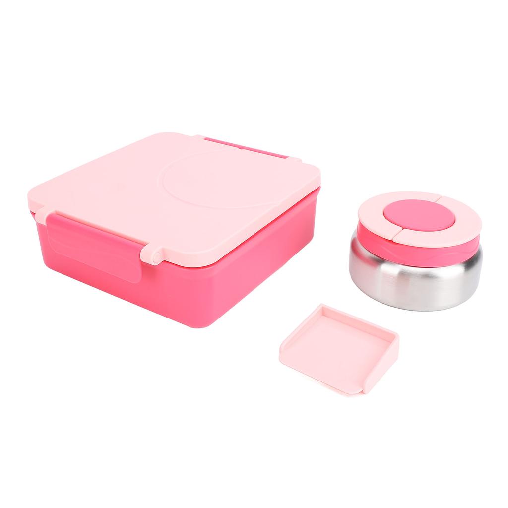 Lunch Container with Handle Sealed Multi Compartments Dishwasher Safe Lunch Box Container for Office School Roseate