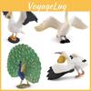 Wildlife Pelican Peafowl Animal Pvc Models For Kids Educational Decor Toys And