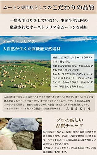 Craft Works Sheepskin Rug (Natural / Long Hair / Single Rug / 60 X 90cm) Taupe (Washable / Carpet / Wool) Sheepskin Rug (1 Rug)