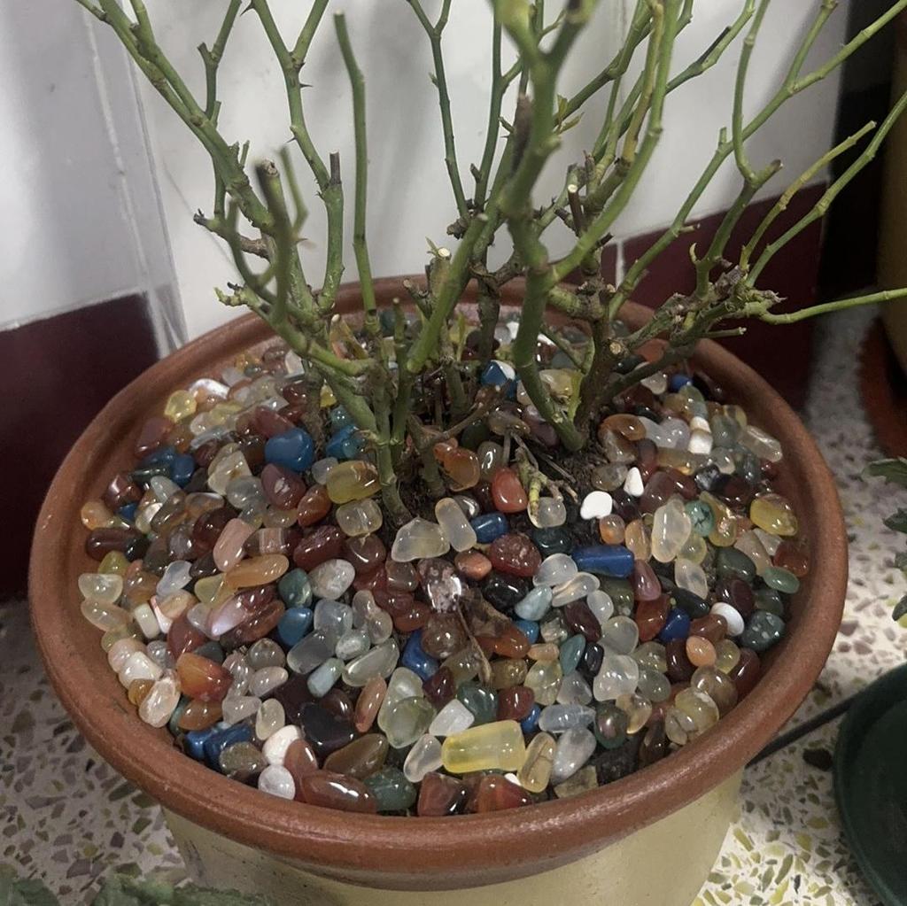 Кристаллы 7 Чакр - Коллекция исцеляющих камней для медитации, подношений на алтарь, создания мандал и декора аквариума