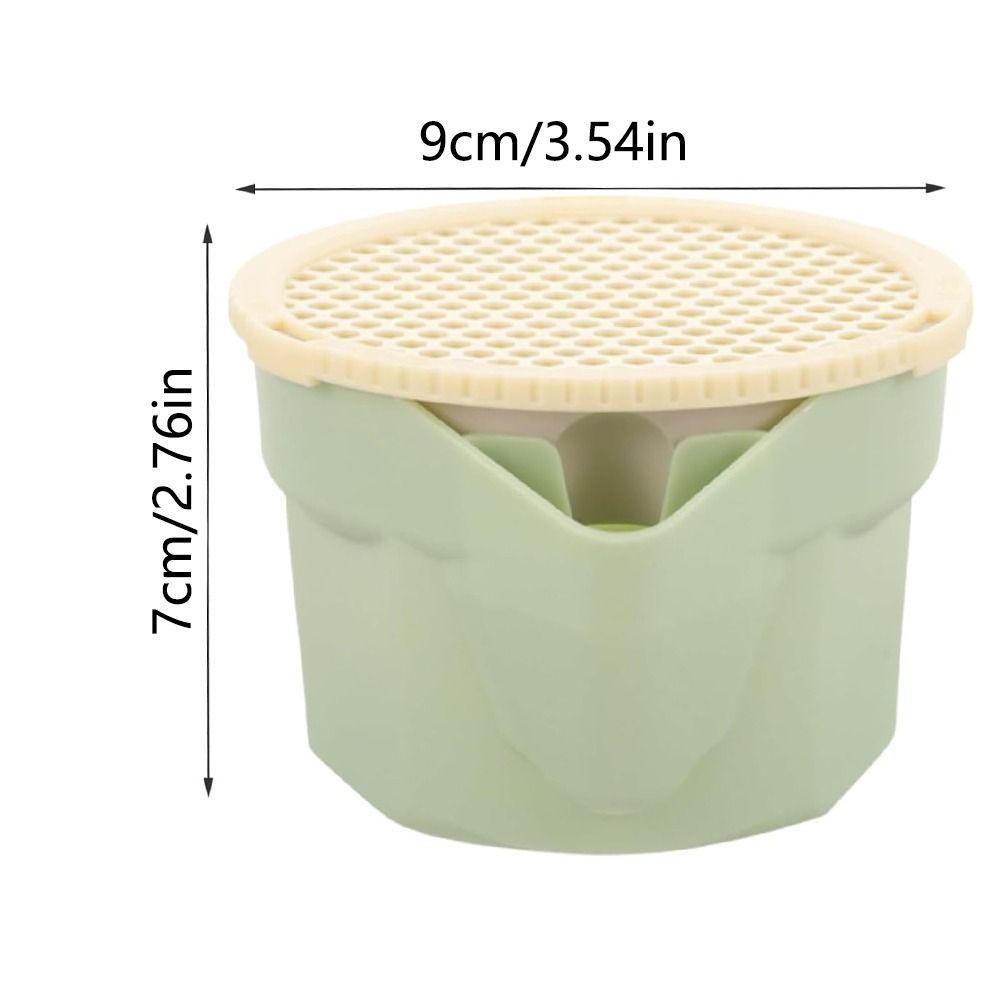 Hydroponic Microgreens Growing Kit Easy To Grow Soilless Planting Box  Cat Snack