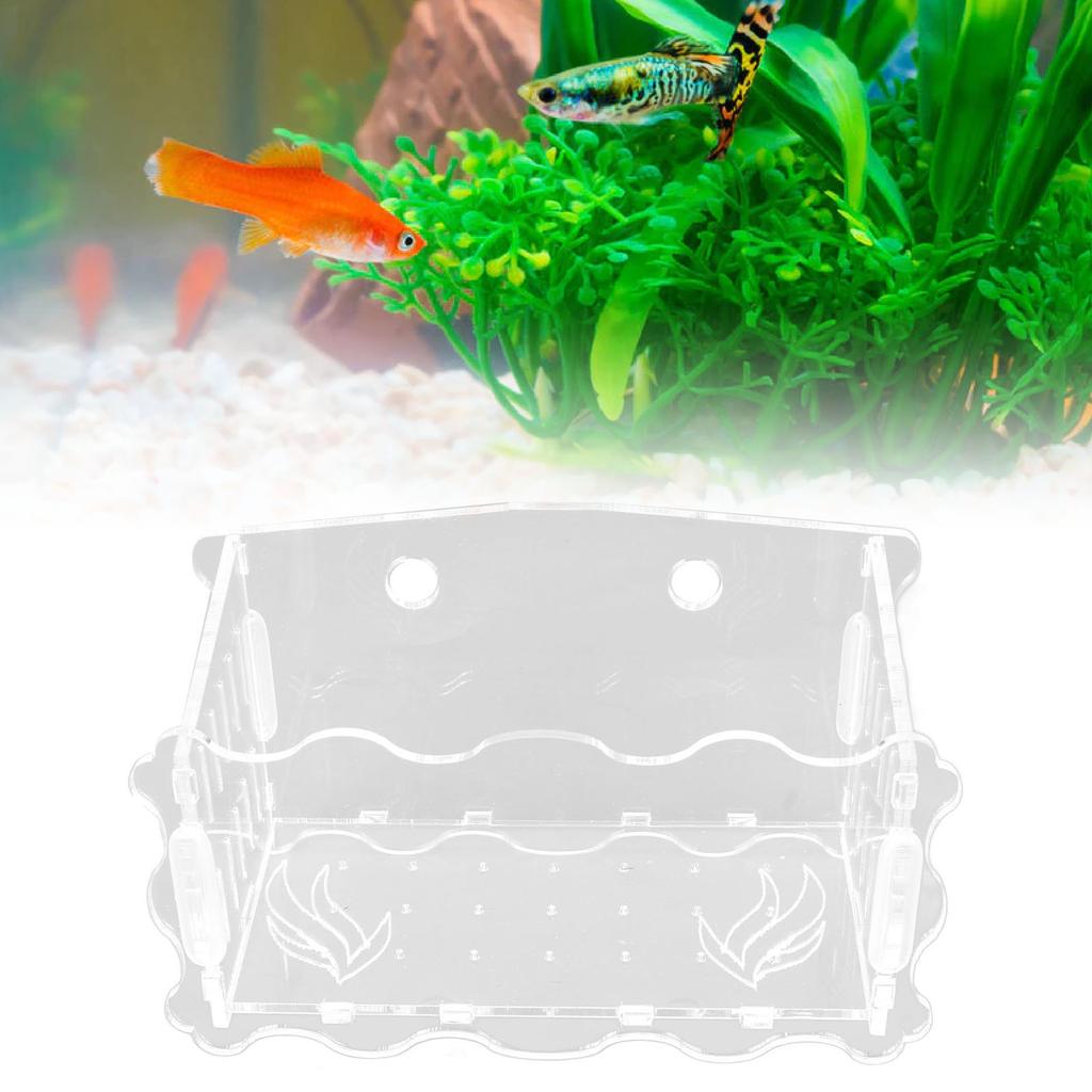   Plant Cup Acrylic Transparent Permeable Hole   Safe   Plant Pot with Suction Cup for Fish  