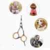 Stainless Steel Cat Grooming Scissors Professional Dog Hair Scissors  Cleaning