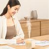 Creative Mini Humidifier for Home Office Dormitory Desktop Silent Charging Large Fog Volume