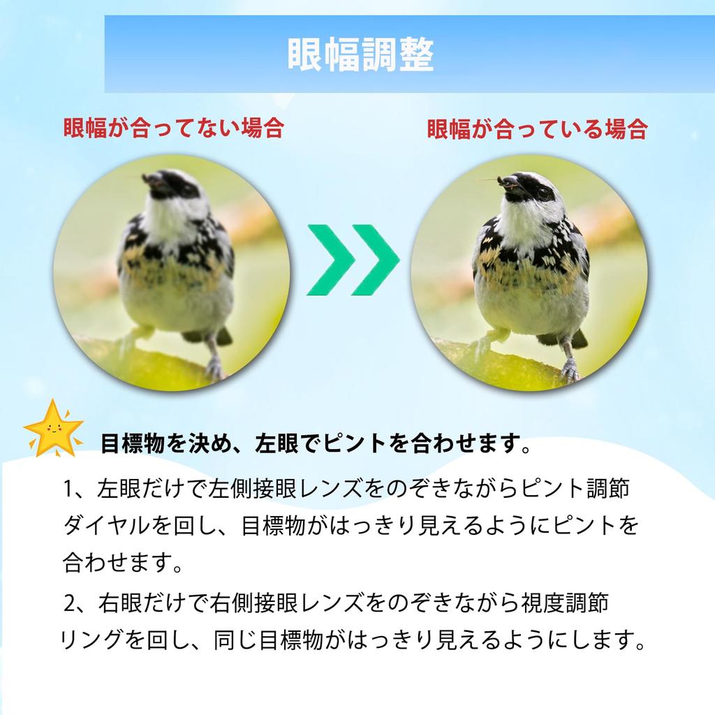 Binoculars for Live Dome Opera Binoculars for 20x Theater Adjustable Binoculars for Storage Case Japanese Instruction Black Performances, Glasses,