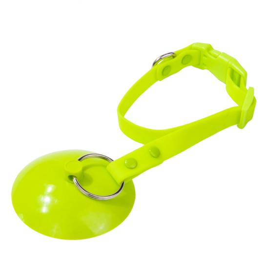 Pet Grooming Suction Cup Holder Adjustable Dog Bathing Restraint Loop Leash for Dogs And Cats Nail Trimming Shower Bathing