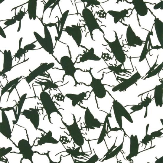 Dyeing Anbo Tenugui Unit A Authentic Dyed Cotton Tokuoka Made in Japan 35cm x 100cm "Insect Green" 100%